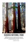 Sequoia National Park [poster] by Roy R. Behrens