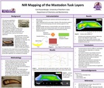 NIR Mapping of the Mastodon Tusk Layers by Carli Jo Russenberger