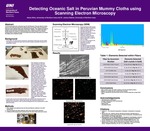 Detecting Oceanic Salt in Peruvian Mummy Cloths using Scanning Electron Microscopy by Alexis Wirtz and Joshua Sebree Ph.D.