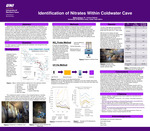 Identification of Nitrates Within Coldwater Cave by Blake Schany and Joshua Sebree