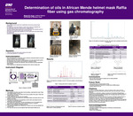 Determination of oils in African Mende helmet mask Raffia fiber using gas chromatography by Megan M. Unger and Joshua Sebree