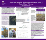 Going with the Flow: Quantifying Lead Levels Along a Natural Water Pathway by Kailah Thompson and Joshua Sebree