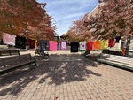 Fall 2025 Clothesline Project Bearing Witness Day [07 Photo] by University of Northern Iowa. Women's and Gender Studies.