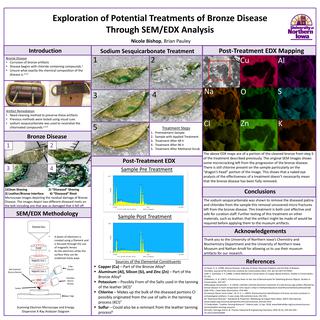 Exploration of Potential Treatments of Bronze Disease Through SEM/EDX Analysis
