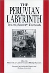 The Peruvian Labyrinth: Polity, Society, Economy by Maxwell A. Cameron and Philip Mauceri