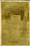 [14a] Rufus Stone, New Forest, England [front]