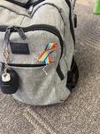82. Rainbow Ribbon Pin [photograph]