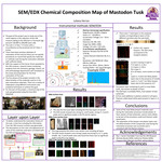 SEM/EDX Chemical Composition Map of Mastodon Tusk