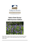 Native Seed Scoop, 2024 Summer Edition by University of Northern Iowa. Tallgrass Prairie Center.
