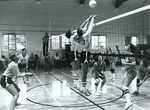 1978 two at the net by Dan Grevas by Dan Grevas