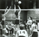 1979 at the net by Dan Grevas by Dan Grevas