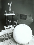 1981 trophy