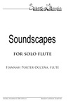Soundscapes for Solo Flute, November 2, 2020 [program] by University of Northern Iowa