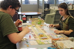 Play-to-Win Tabletop Games, 02 by University of Northern Iowa. Rod Library.