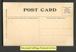 [045b] Suffragette's procession moving up Pennsylvania Avenue [back] by I. & M. Ottenheimer