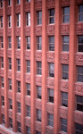 [MO, St. Louis. 34] Wainwright Building. 03 by Carl L. Thurman