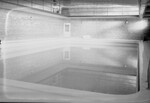Swimming Pool in the West Gymnasium