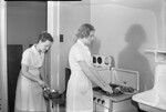 Women Working in a Kitchen
