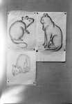 Animal Drawings 02