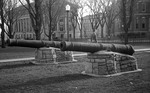 Cannons 02