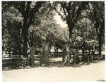 Campus Gateway at 26th Street and College Street 02