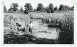 Clearing Reeds from Prexy's Pond