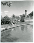 Campanile Exterior, Tennis Courts, and Prexy's Pond 10